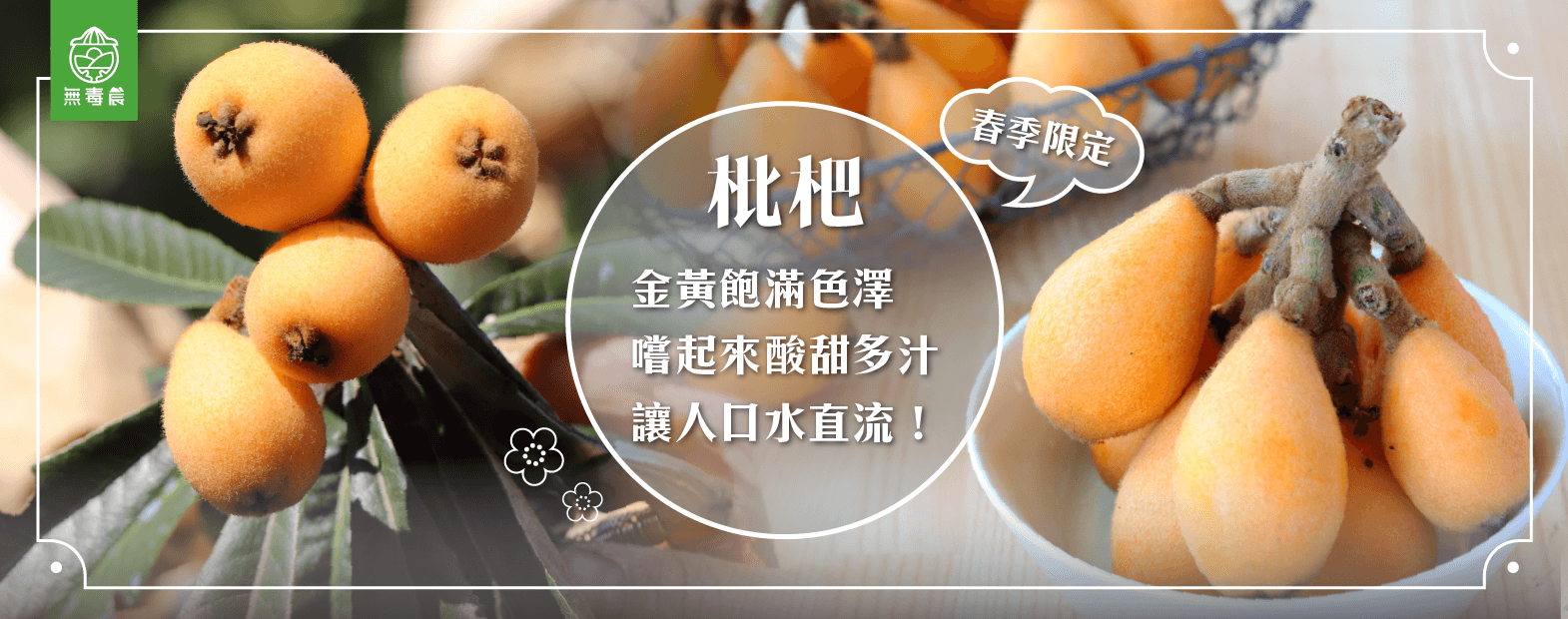 枇杷
