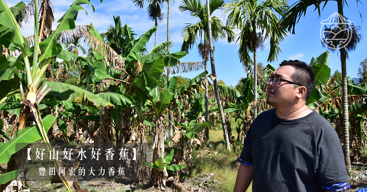 【好山好水好香蕉】豐田阿宏的大力香蕉