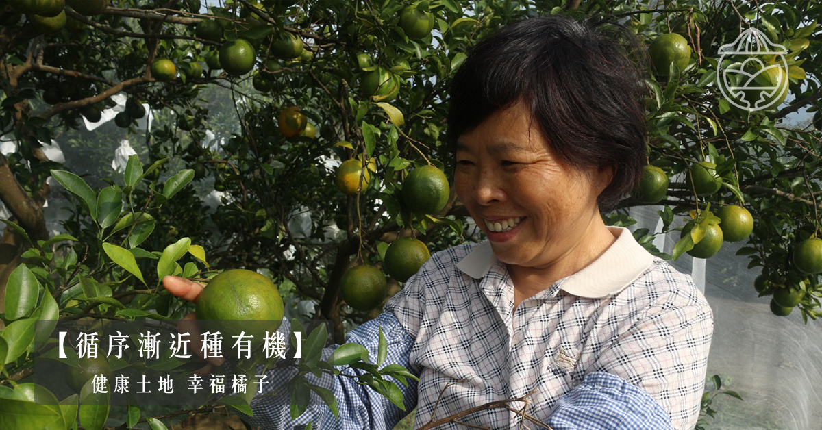 【循序漸近種有機】健康土地　幸福橘子