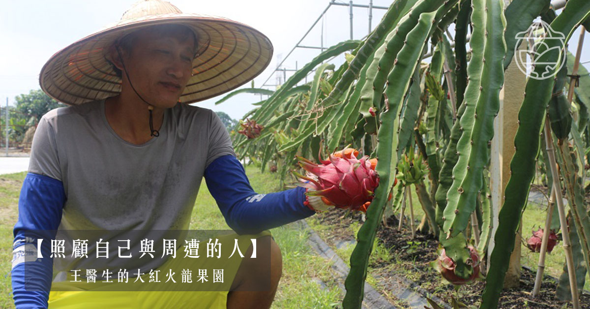 【照顧自己與周遭的人】王醫生的大紅火龍果園