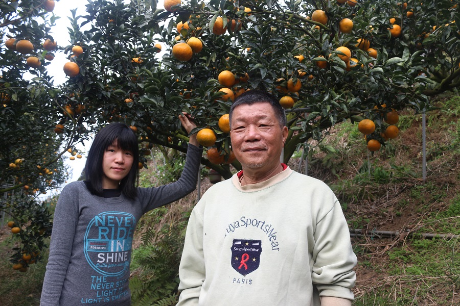 新社蜜柑園