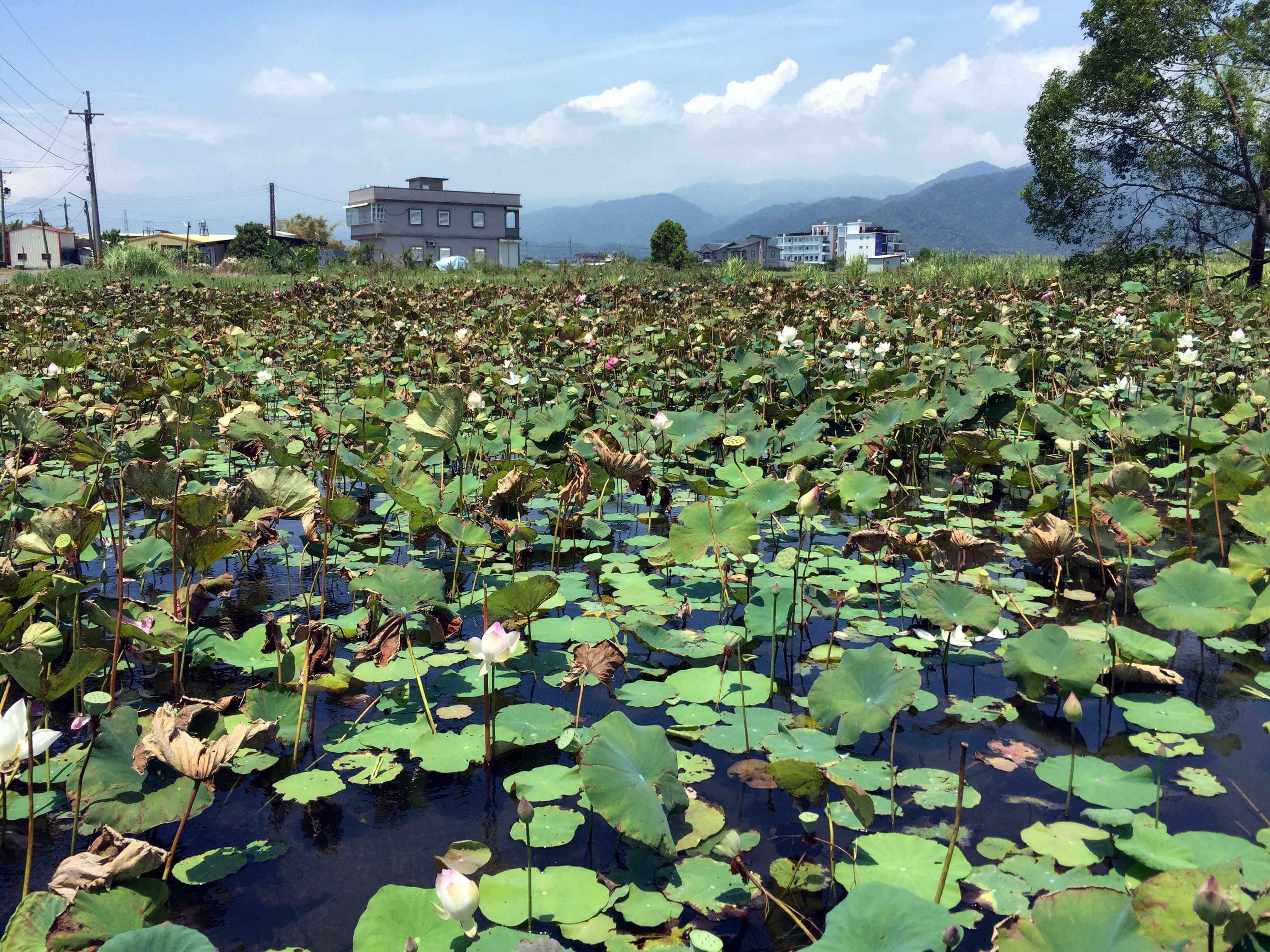 福天地