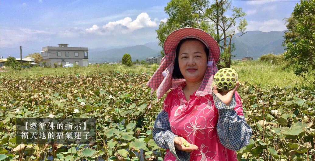 ​【遵循佛的指示】福天地的福氣蓮子