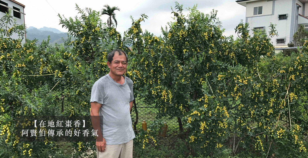 【在地紅棗香】阿賢伯傳承的好香氣