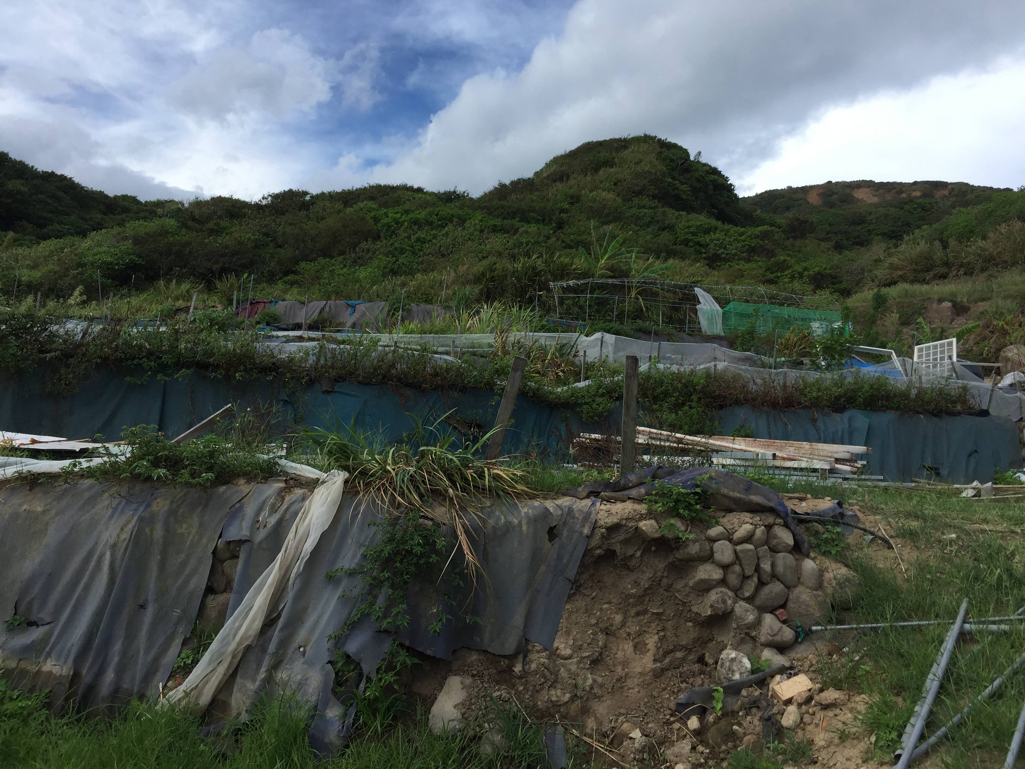 庭少香草園