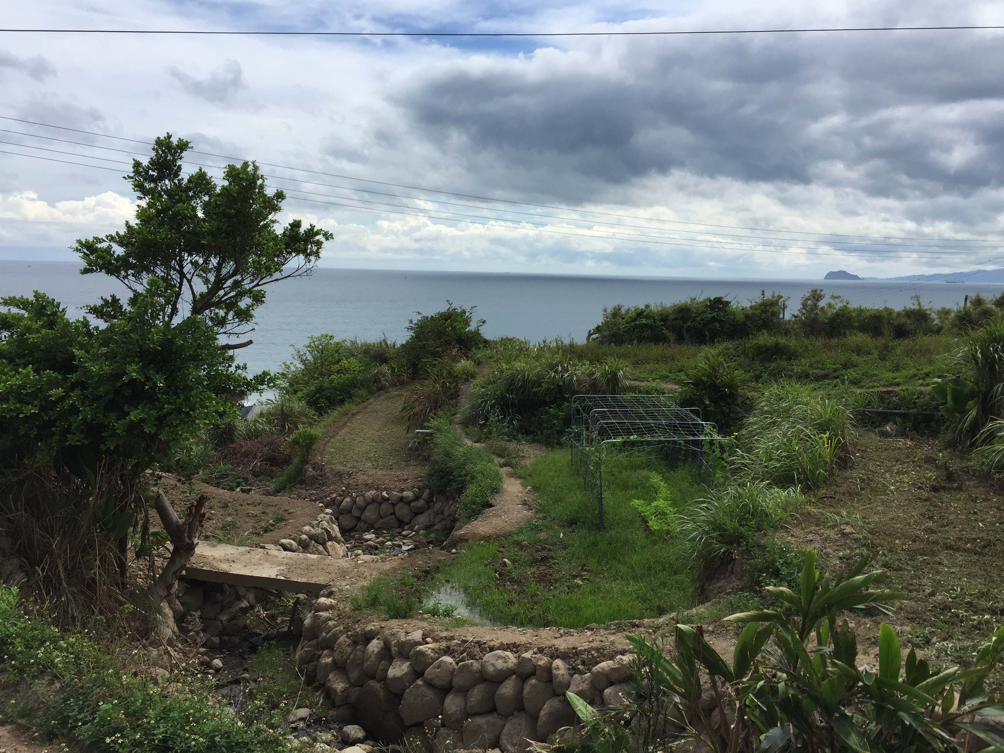 庭少香草園