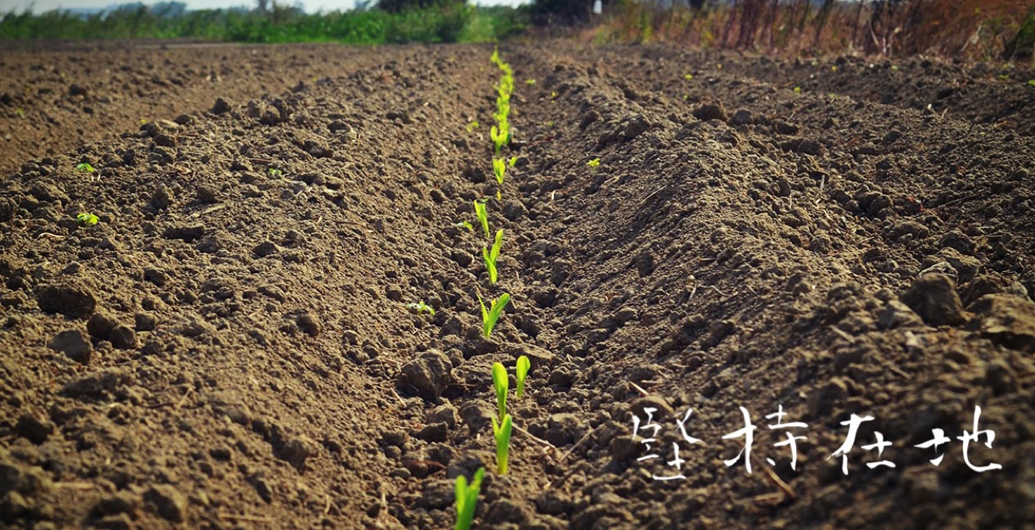 堅持在地，真的好難　(2019年開始調整在地的定義）