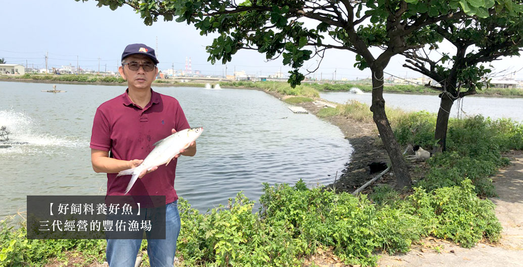 【好飼料養好魚】三代經營的豐佑漁場－飼好漁