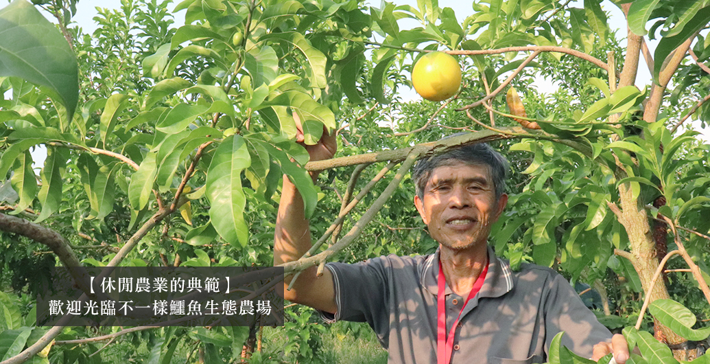 ​【休閒農業的典範】歡迎光臨不一樣鱷魚生態農場