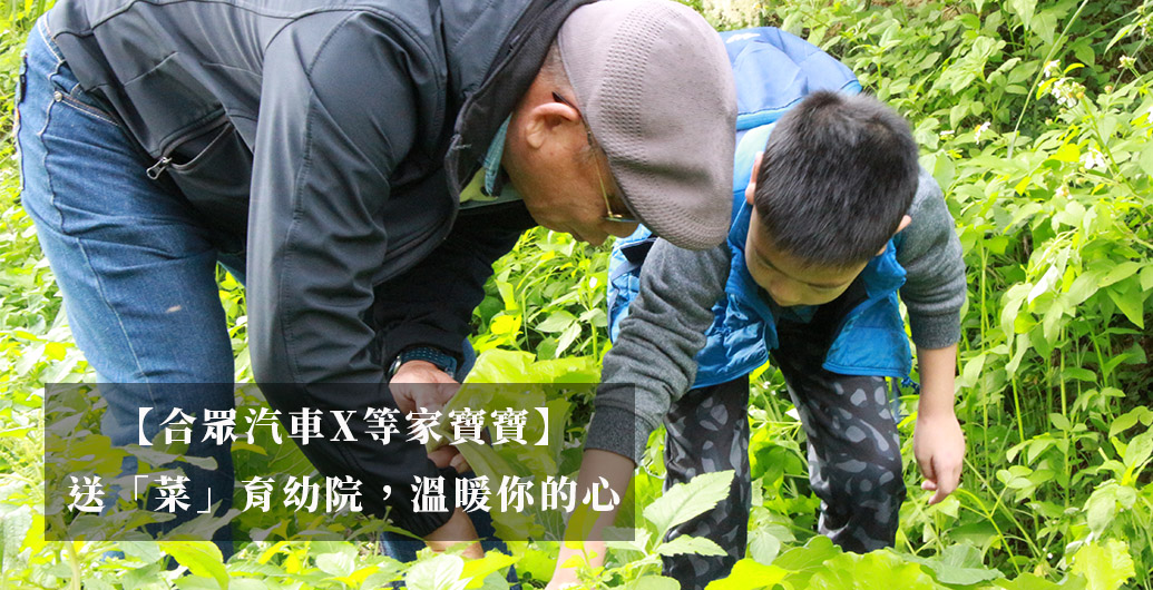 【合眾汽車X等家寶寶】送「菜」育幼院，溫暖你的心