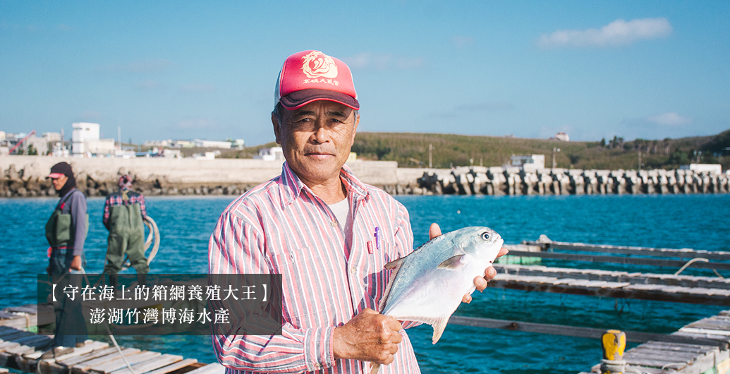 【守在海上的箱網養殖大王】澎湖竹灣博海水產