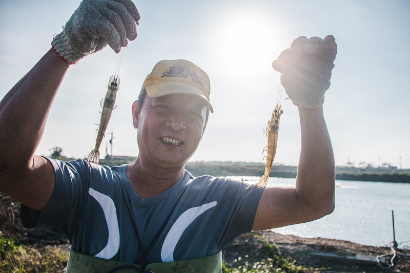 無毒農 白蝦 草蝦 蝦仁 無毒蝦 魚塭 養殖 無毒白蝦 無毒 安心 健康 水產 海鮮