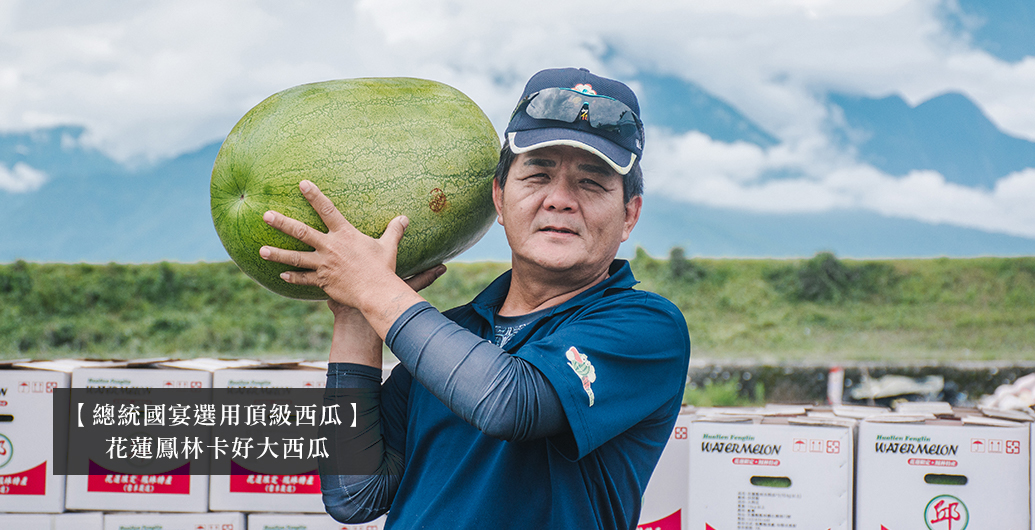 【總統國宴選用頂級西瓜】花蓮鳳林卡好大西瓜