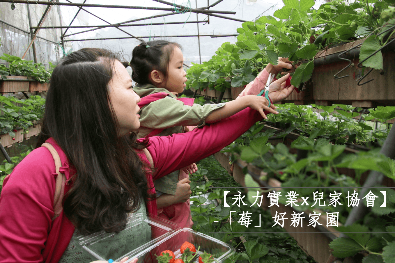 [　永力實業x兒家協會]-　「莓」好新家園