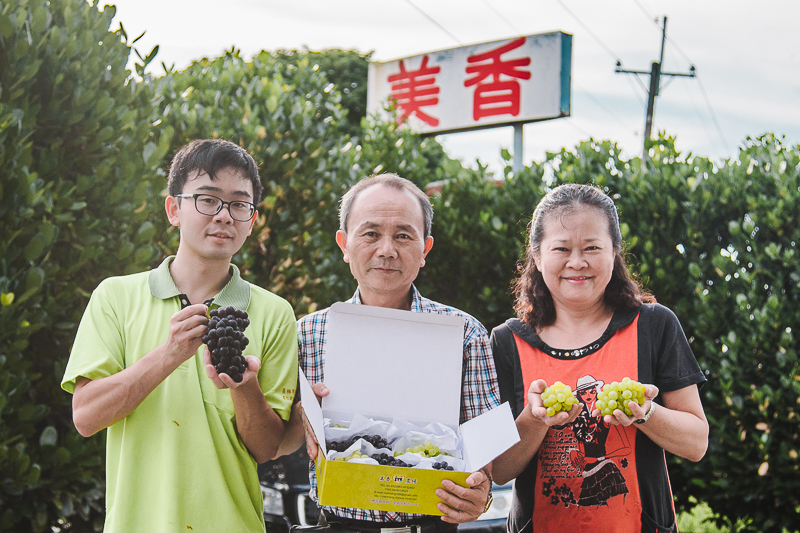 無毒農 美香葡萄 葡萄 小農 水晶葡萄 黑玫瑰葡萄 彰化 大村 網購 紫水晶葡萄 綠水晶葡萄 鴛鴦 水晶 無毒 有機 安心 水果 友善環境 支持小農