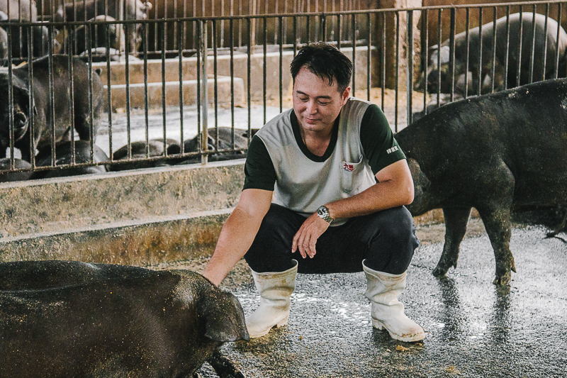 無毒農 平埔黑豬 小農 黑豬 豬肉 不用藥 屏東 網購 台灣 外銷香港 豬 小豬 無毒 有機 安心 水果 友善環境 支持小農