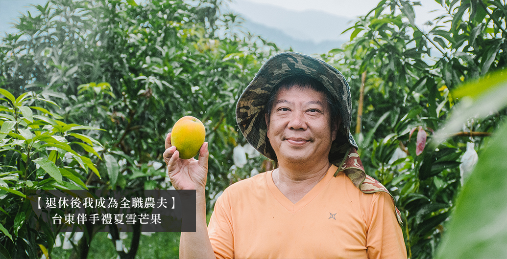 【退休後我成為全職農夫】台東伴手禮夏雪芒果