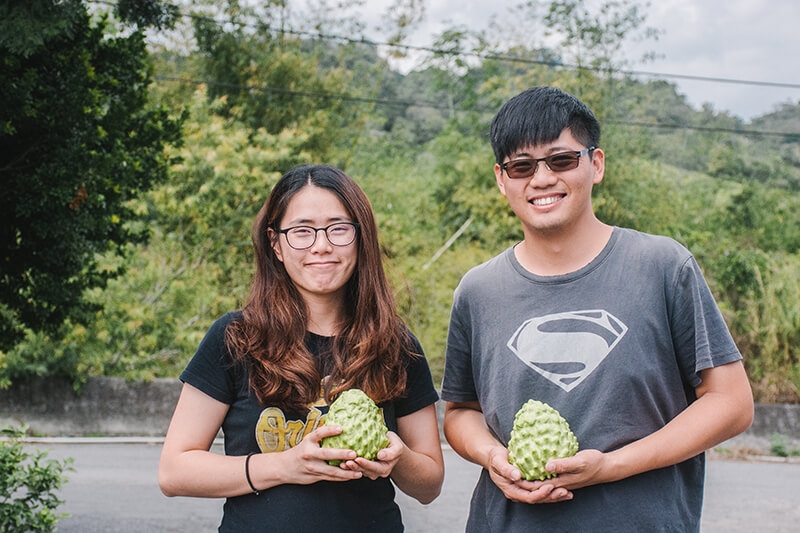 無毒農 鳳梨釋迦 台東名產 小農 伴手禮 好時果子 網購 禮盒 無毒 有機 安心 水果 友善環境