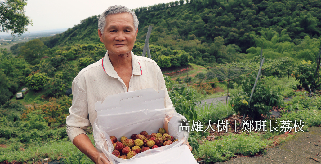 【豔荔荔枝達人鄭班長】福氣寶地上的荔枝園