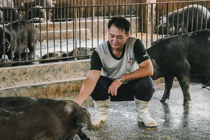 台灣開放美國豬肉進口