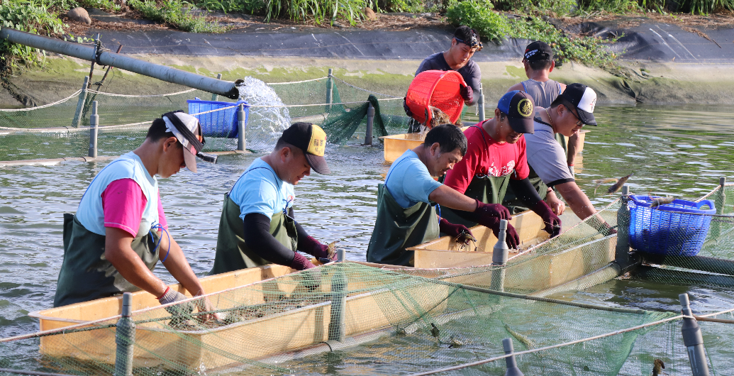 【網紅不知道的養殖業真相】產地前線報導