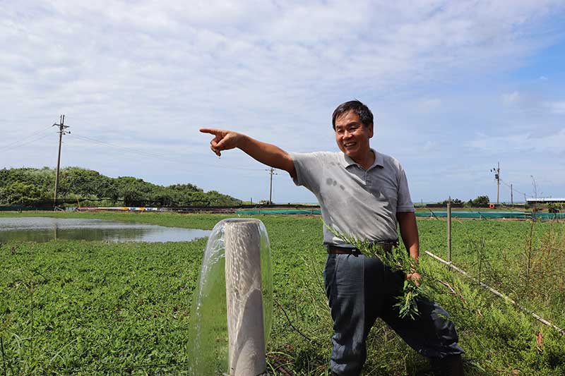 大屯山下的生態村 把大閘蟹當寵物般照顧的「三芝蟹蟹農場」