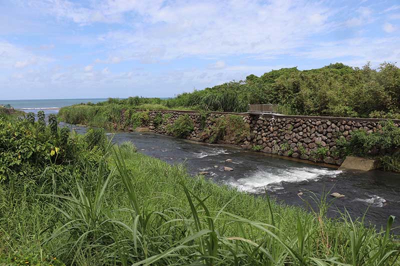 大屯山下的生態村 把大閘蟹當寵物般照顧的「三芝蟹蟹農場」