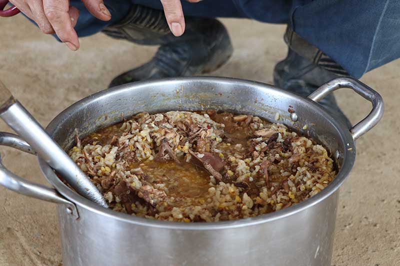 大屯山下的生態村 把大閘蟹當寵物般照顧的「三芝蟹蟹農場」