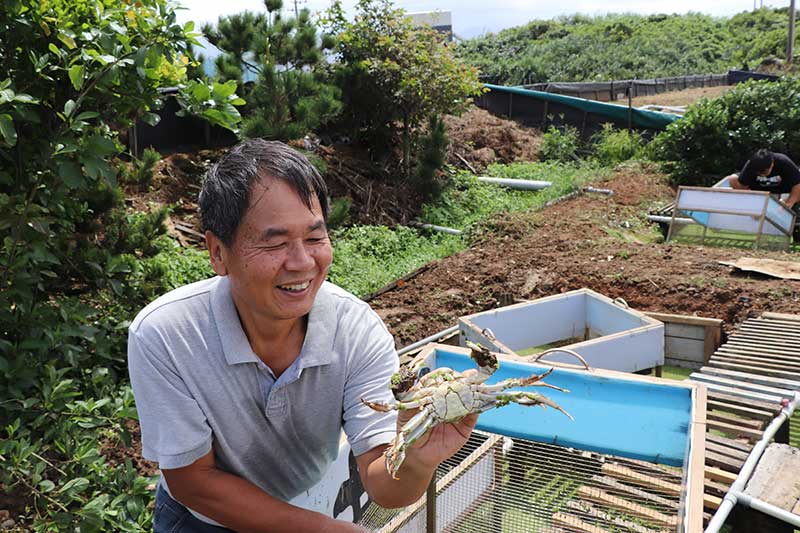 大屯山下的生態村 把大閘蟹當寵物般照顧的「三芝蟹蟹農場」