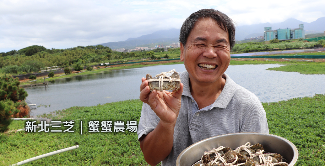 大屯山下的生態村　把大閘蟹當寵物般照顧的「三芝蟹蟹農場」