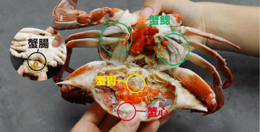 螃蟹4大不能吃部位