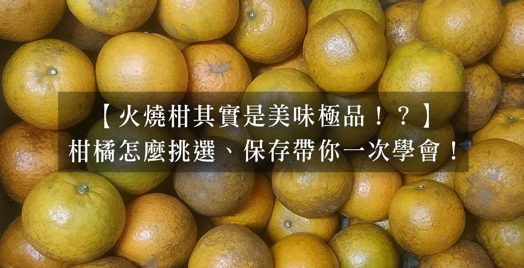 【火燒柑其實是美味極品！？】柑橘怎麼挑選、保存帶你一次學會！