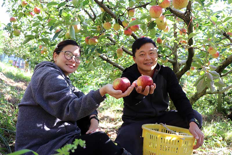 奕香園蘋果