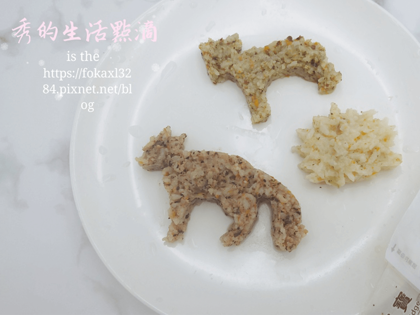 寶寶燉飯還可以這樣吃！捏成動物造型，食慾大開