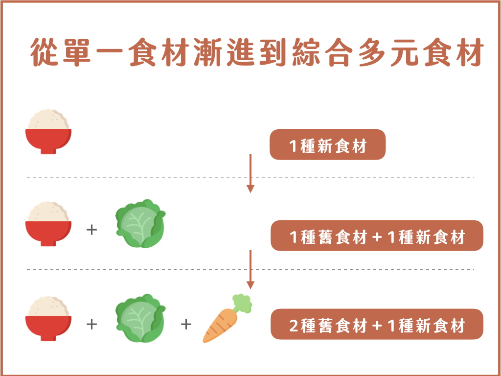 寶寶副食品從單一食材漸進到綜合多元食材