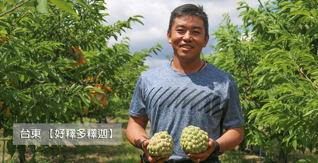 【台東好釋多釋迦】好山好水好釋迦