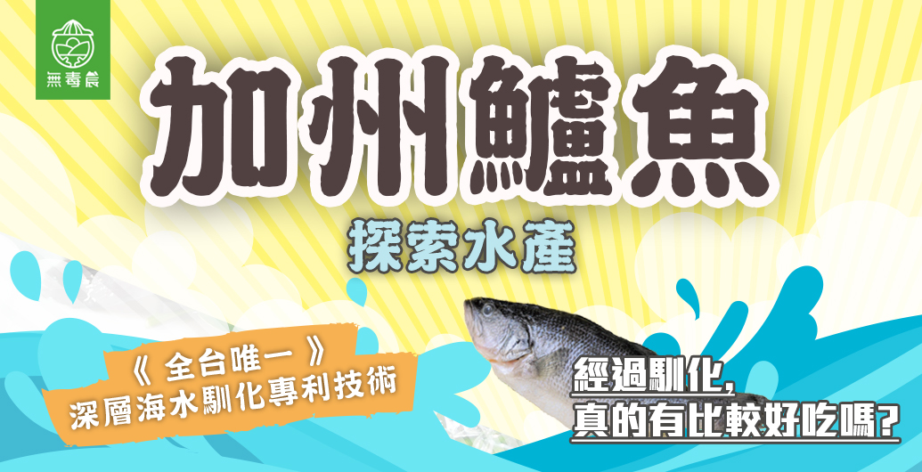 ∥　＃加州鱸魚｜馴化技術到底是什麼～～～