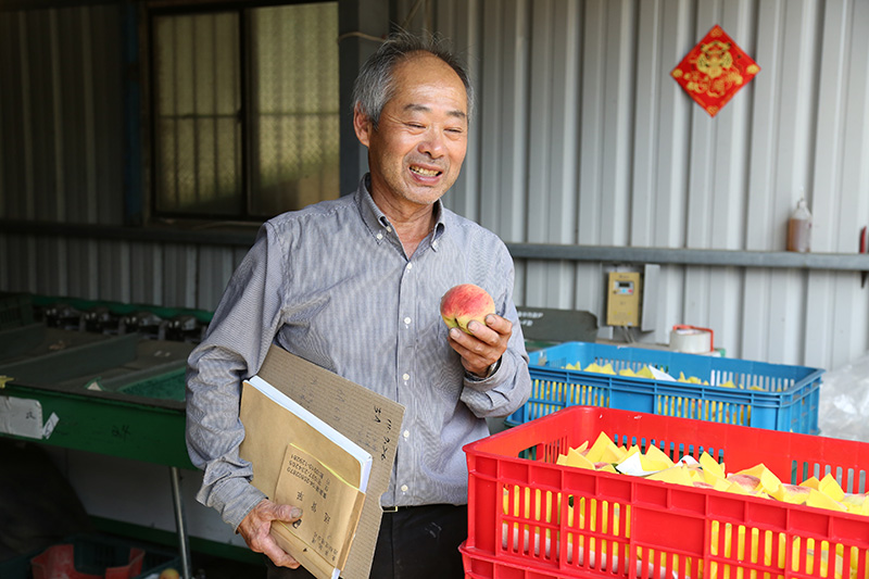 水蜜桃職人系列｜「良森果園」梨山羅伯伯的溫帶水果天堂