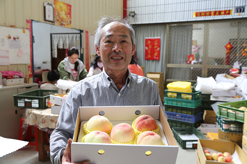 水蜜桃職人系列｜「良森果園」梨山羅伯伯的溫帶水果天堂