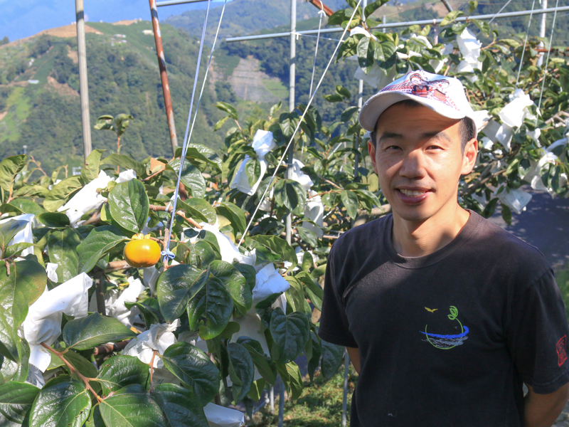 半片山頭的甜柿、蜜蘋果及水蜜桃，是果樂園每天朝夕相處的好夥伴，每天都天亮就起床巡視果園，農忙時期要抓緊在天亮的時間採收，下午晚上緊接著理貨出貨，晚上包裝常常都忙到十點十一點才能休息，只為了將最新鮮的水果交到大家的手上。