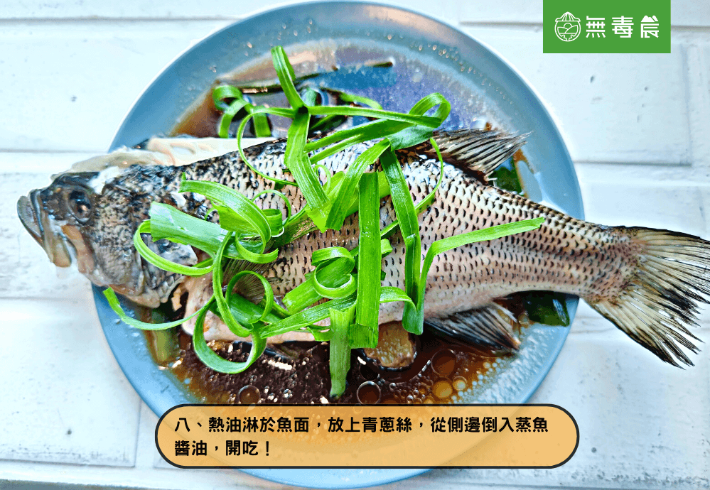 魚 蒸魚 清蒸 鱸魚 港式