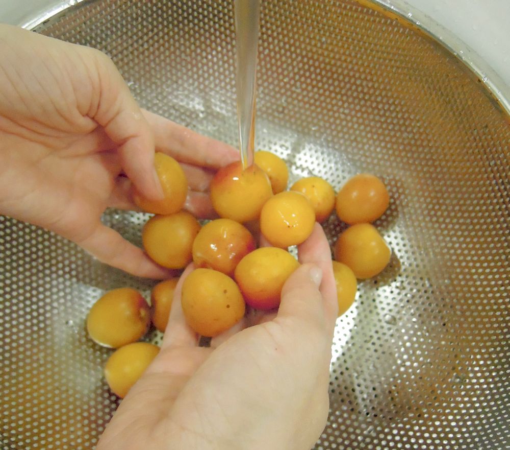 梅料理系列之梅子味噌｜「梅子味噌」食材及食譜