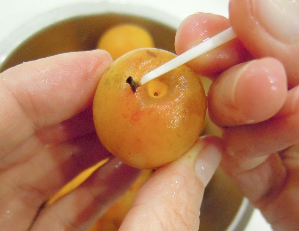 梅料理系列之梅子味噌｜「梅子味噌」食材及食譜