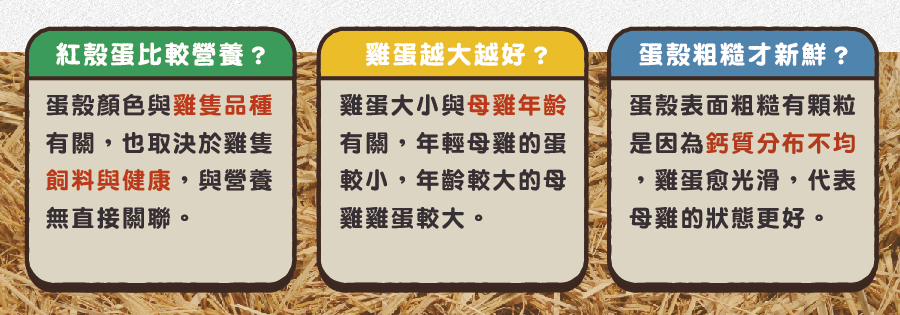 雞蛋 雞蛋料理 蛋黃顏色 蛋殼顏色 雞蛋比較 機能蛋 紅殼蛋 雞蛋營養 蛋營養 蛋殼粗 蛋殼粗糙 蛋殼光滑 葉黃素