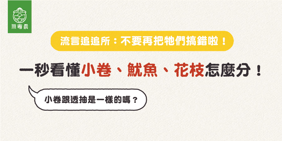 小卷、魷魚、花枝、軟絲怎麼分？一張圖讓你搞懂！