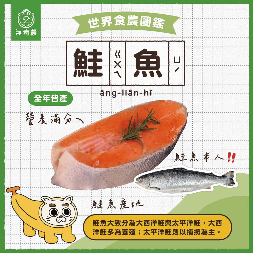 鮭魚 鮭魚品種 鮭魚料理 鮭魚營養 鮭魚知識 鮭魚挑選 鮭魚保存 鮭魚美食