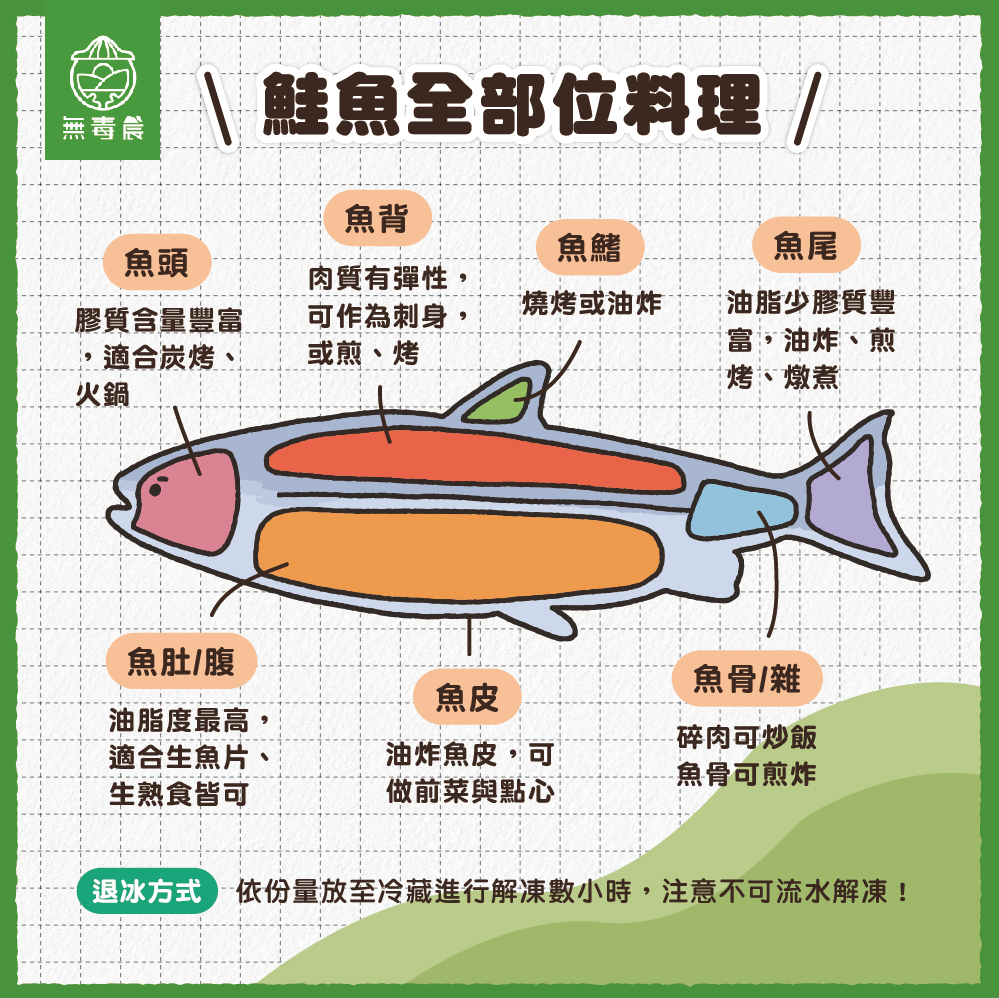 鮭魚 鮭魚品種 鮭魚料理 鮭魚營養 鮭魚知識 鮭魚挑選 鮭魚保存 鮭魚美食