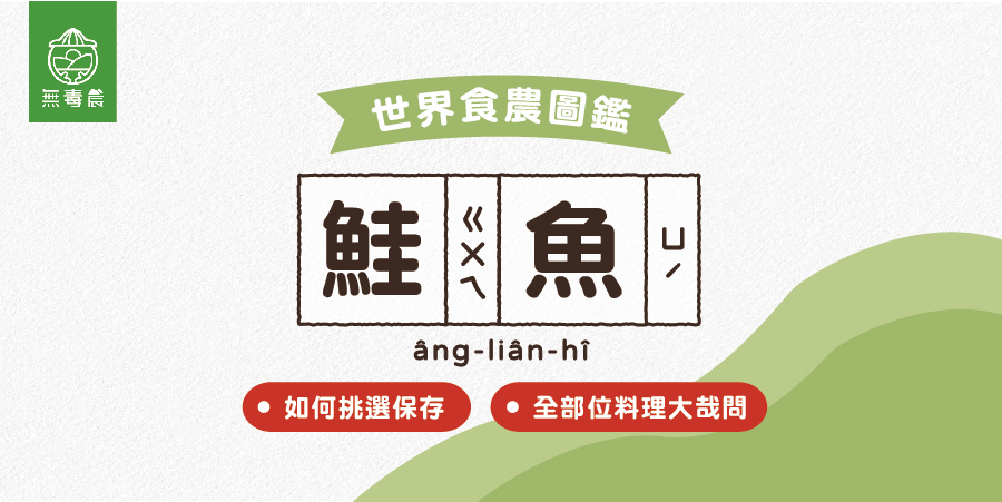 鮭魚料理、鮭魚挑選，你不能不知道的鮭魚知識！