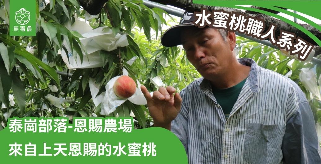 水蜜桃職人系列｜「泰崗部落恩賜農場」來自上天恩賜的水蜜桃