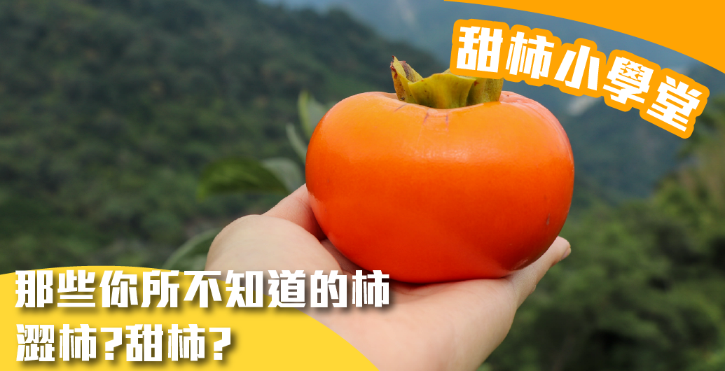 那些年你不知道的「柿」｜柿子常見問題懶人包